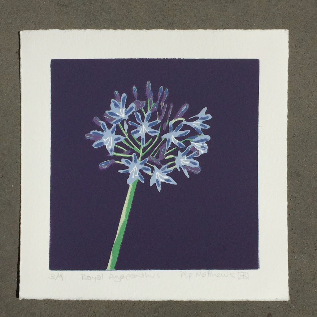 Limited Edition Print Signed Reduction Linocut Agapanthus - Royal