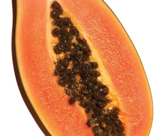 Close-up shot of papaya on white background. 