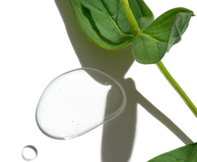 Green leaves on a white background next to a drop of clear oil 