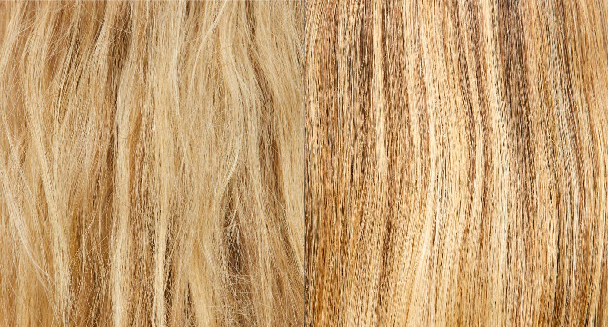 Close-up shot of frizzy blonde hair and smooth blonde hair. 