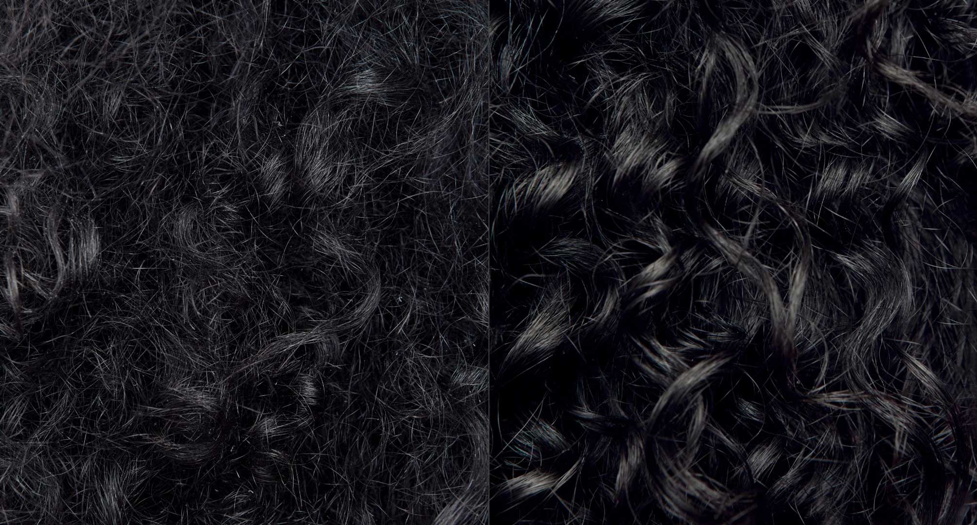 Close-up shot of frizzy black curly hair and smooth, defined black curly hair. 