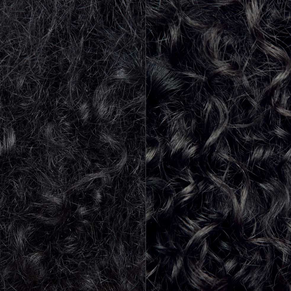 Close-up shot of frizzy black curly hair and smooth, defined black curly hair. 