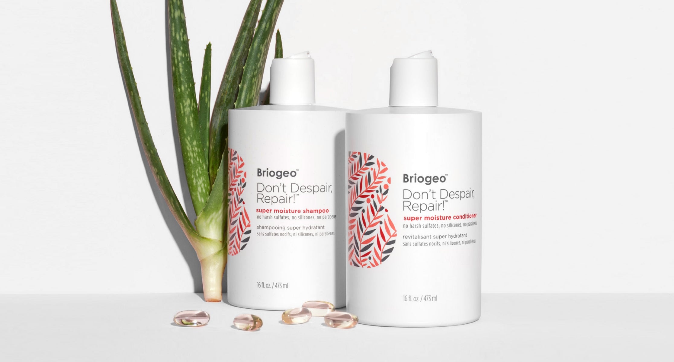 Super moisture shampoo and conditioner in front of an aloe plant on a grey background. 