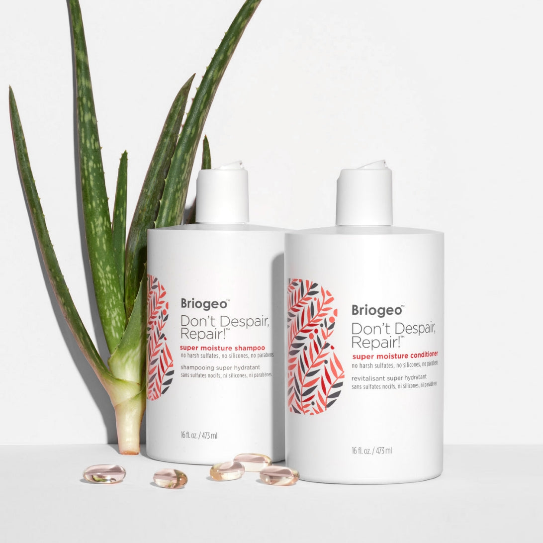 Super moisture shampoo and conditioner in front of an aloe plant on a grey background. 