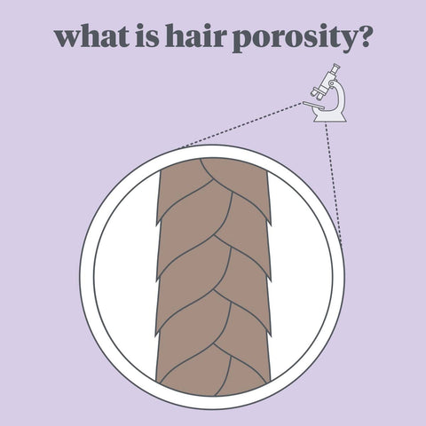 What is Hair Porosity?