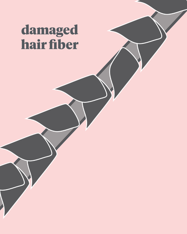 Damaged hair fiber