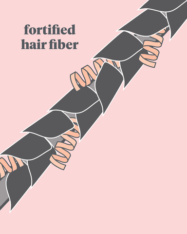 Fortified hair fiber