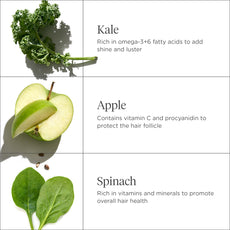 Superfoods Kale + Apple Replenishing Superfood Conditioner