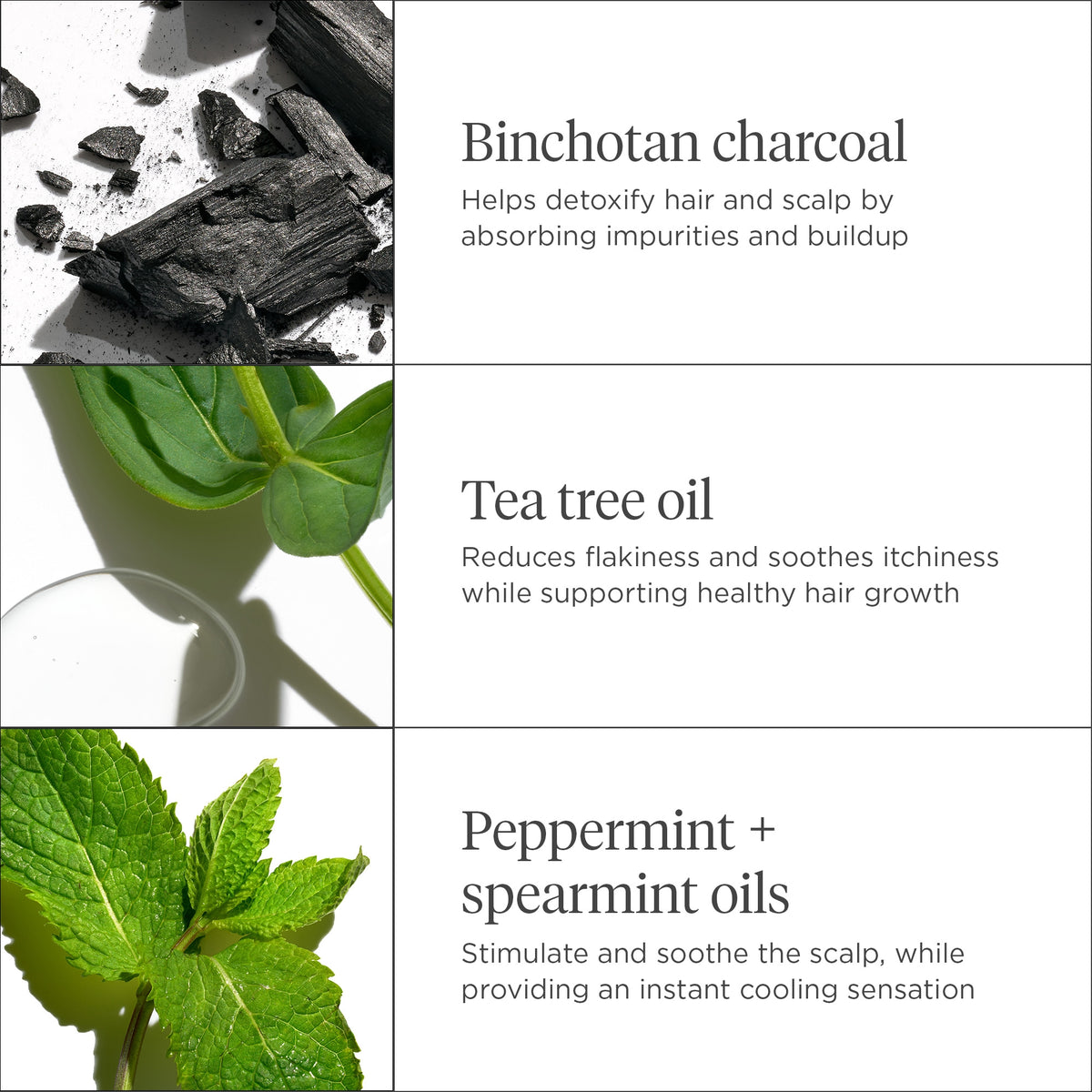 How To Use Tea Tree Oil To Promote Hair Growth