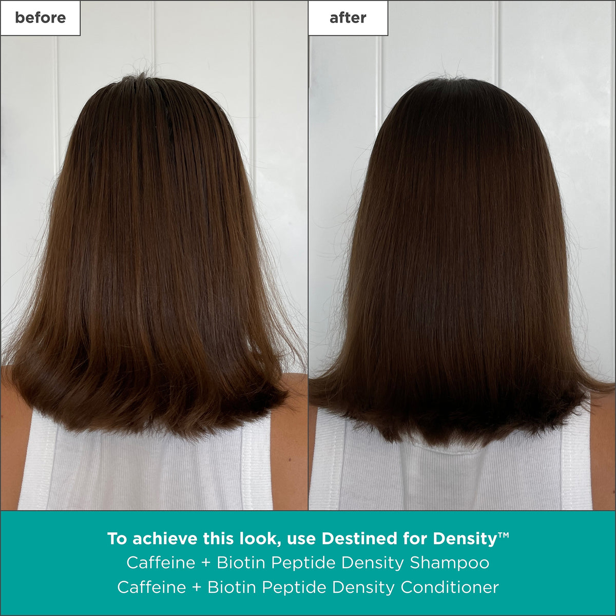 Destined For Density™ Caffeine + Biotin Peptide Density Shampoo