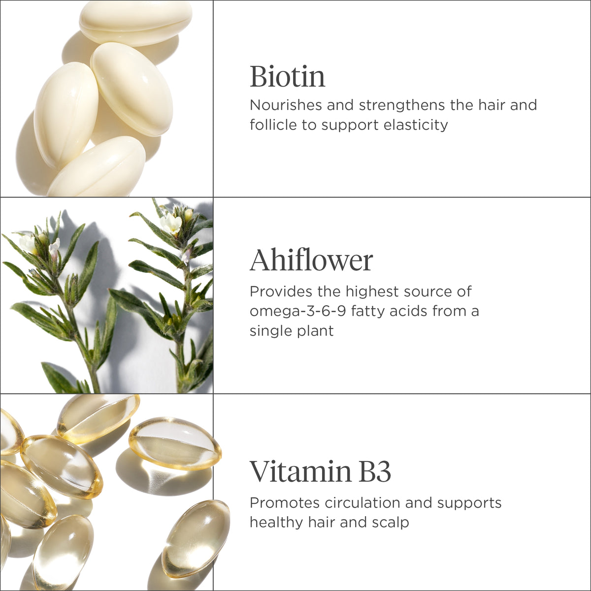 Biotin 101: What Is It and Why Its Good for Hair?