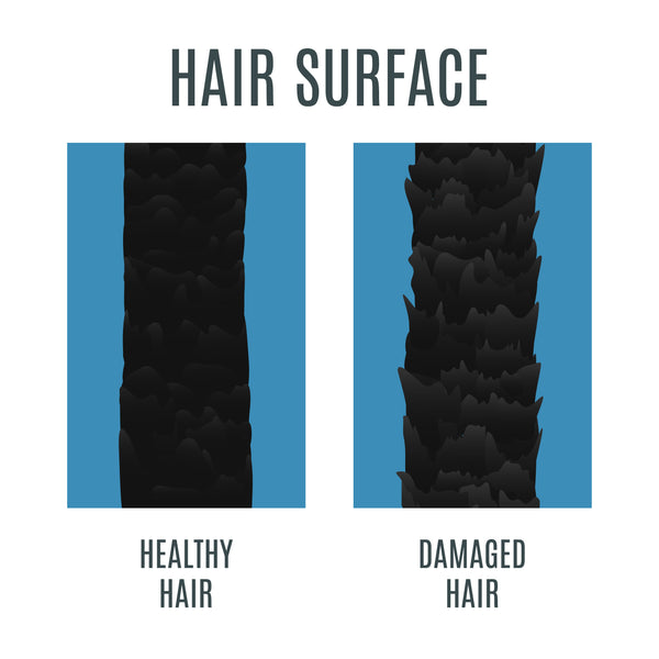 What Does Bleach Actually Do To Your Hair Briogeo Hair Care