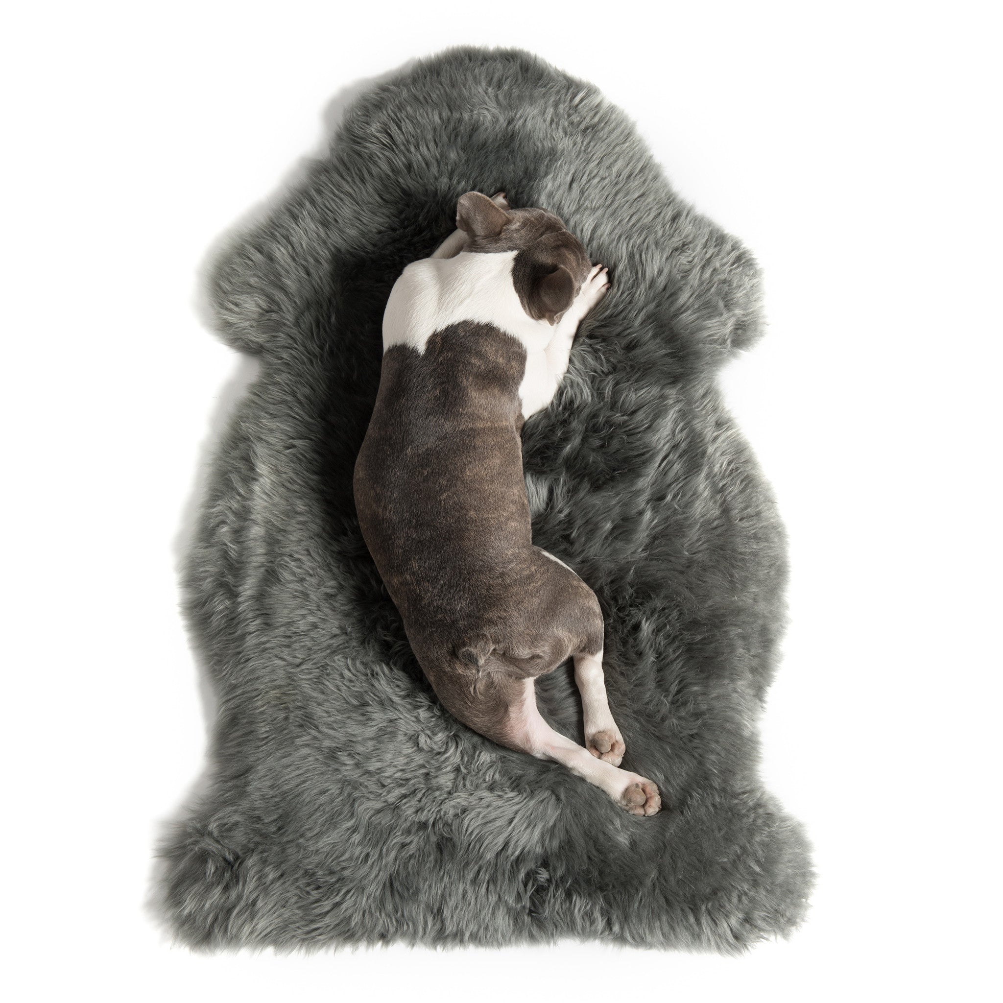 Sheepskin Dog Throw Grey