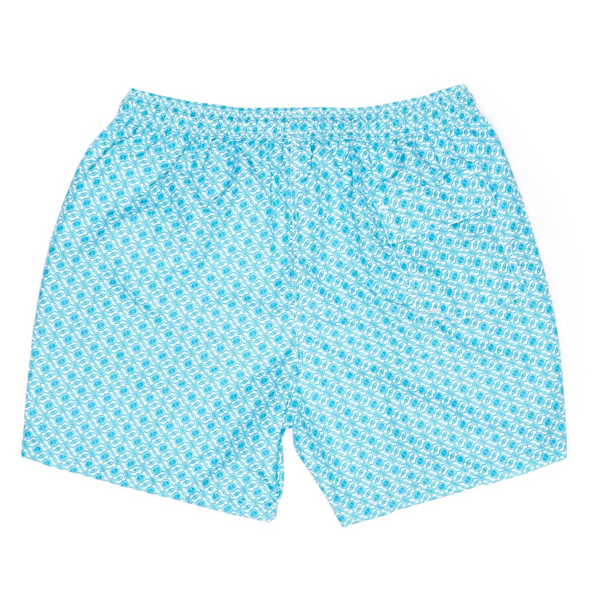 Aqua Trunks