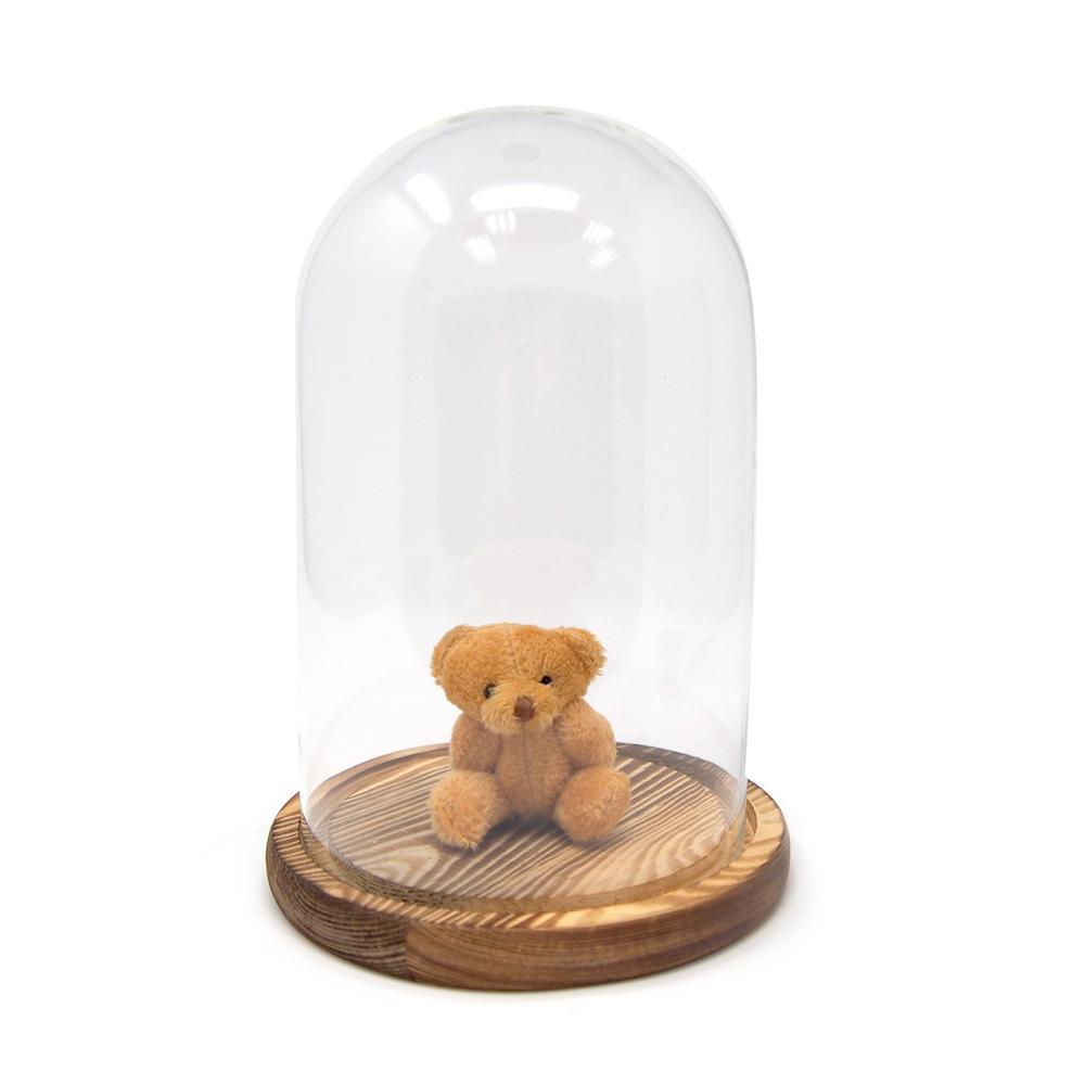 Mini Clear Plastic Display Dome with Wood Base, 3-1/2-Inch