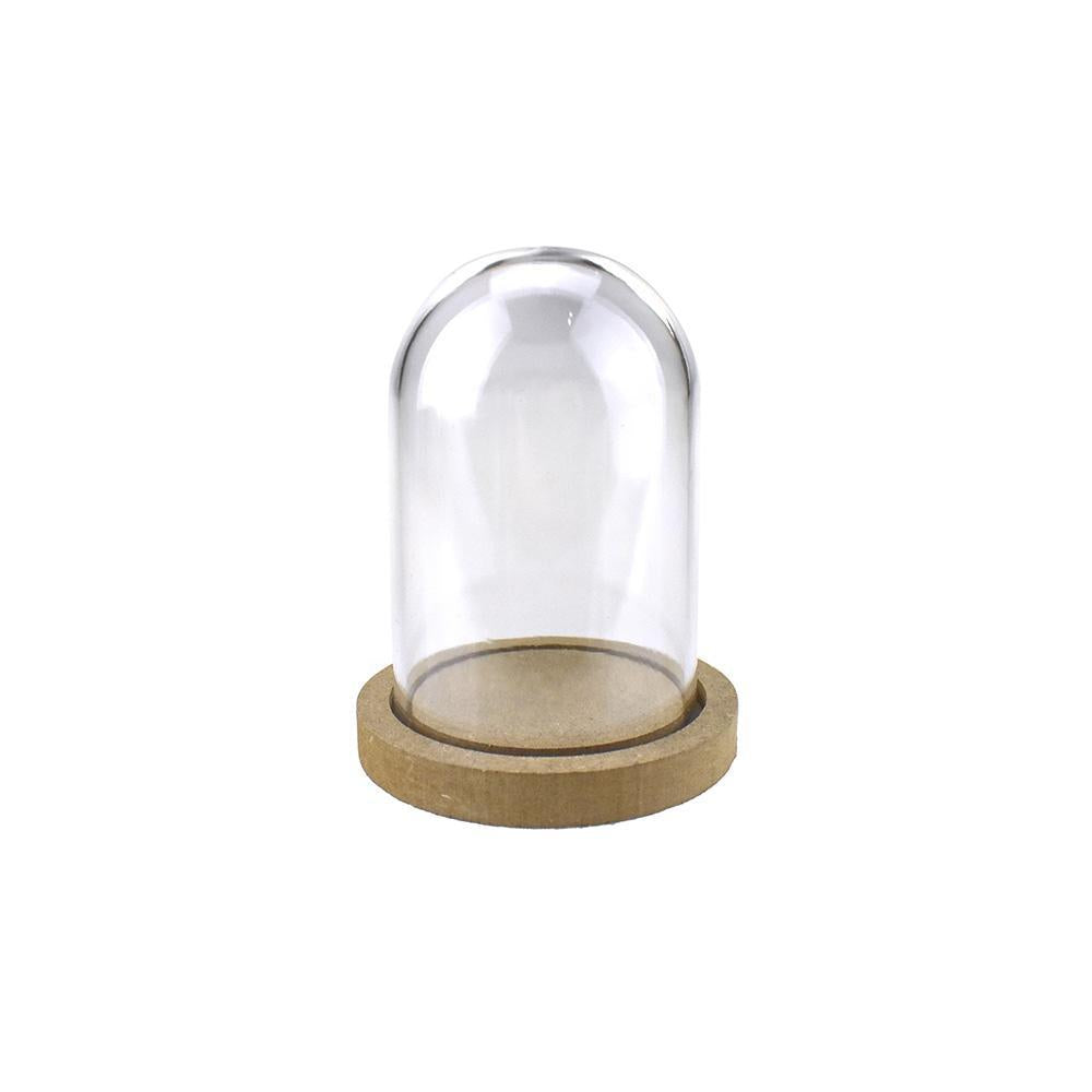 Plastic Dome Display Case, Clear Base – Homeford