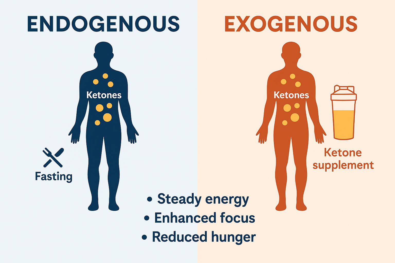 Endogenous vs. Exogenous Ketones Comparison