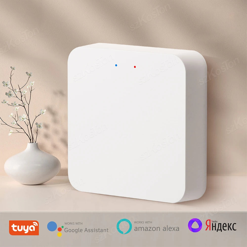 Gateway Hub Tuya Bluetooth Smart Life Work with Alexa - P12 Hub Europe