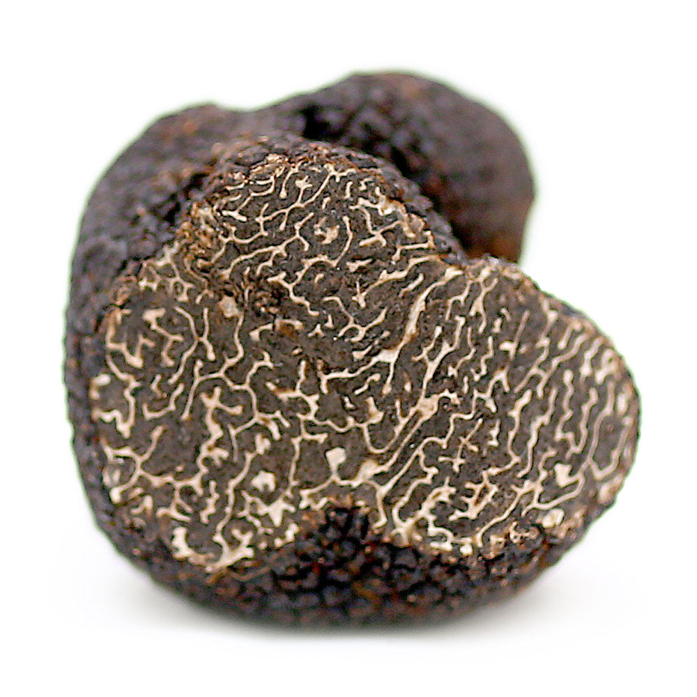 Product-Photo-Truffle-4H4A2079_2048x.jpg?v=1496364890