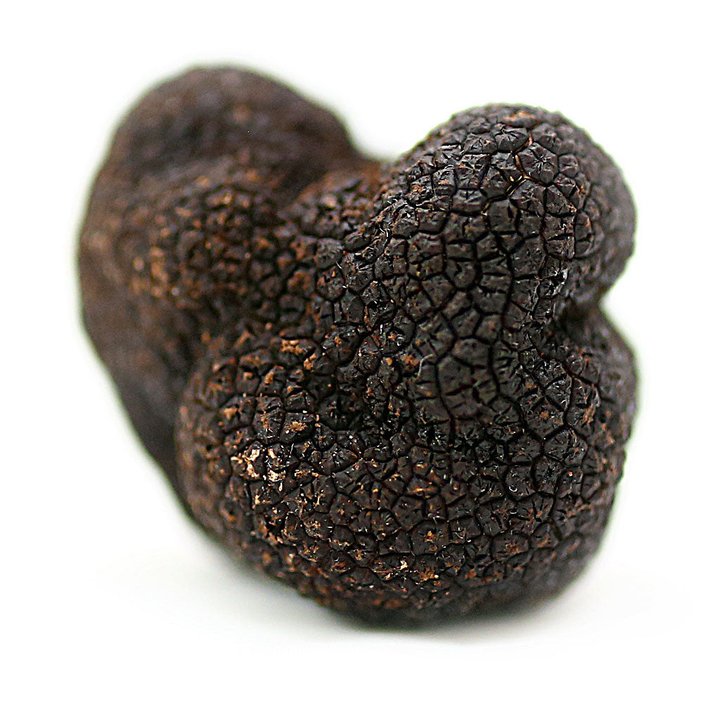 Fresh French Truffles Perigord Truffles Of Tasmania 9451