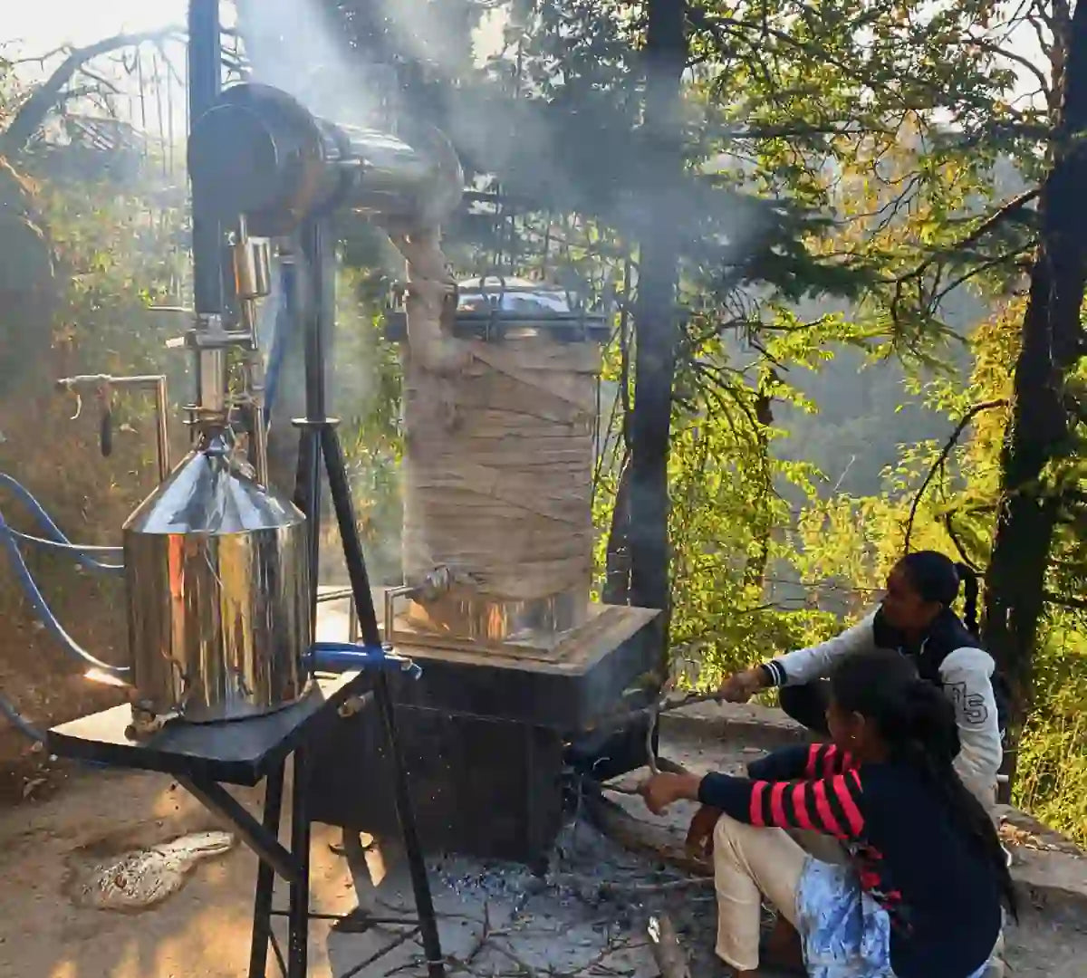 Refining machine for herbal teas