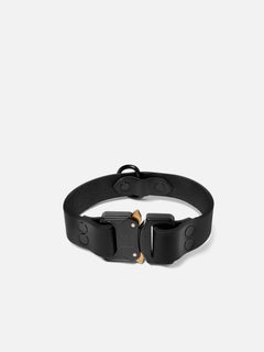 Louis Pup Black Monogram Leather Collar & Leash