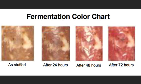 UMAi Dry dry sausage fermentation chart Migrin