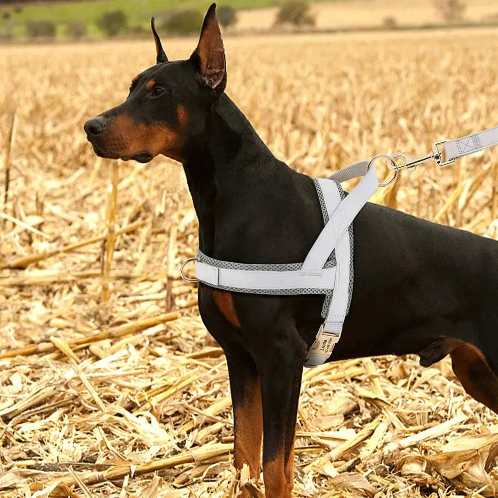 Personalized Dog Harness No Pull Dog Harnesses Adjustable Pet Walking Training - Loja Manuel Coelho
