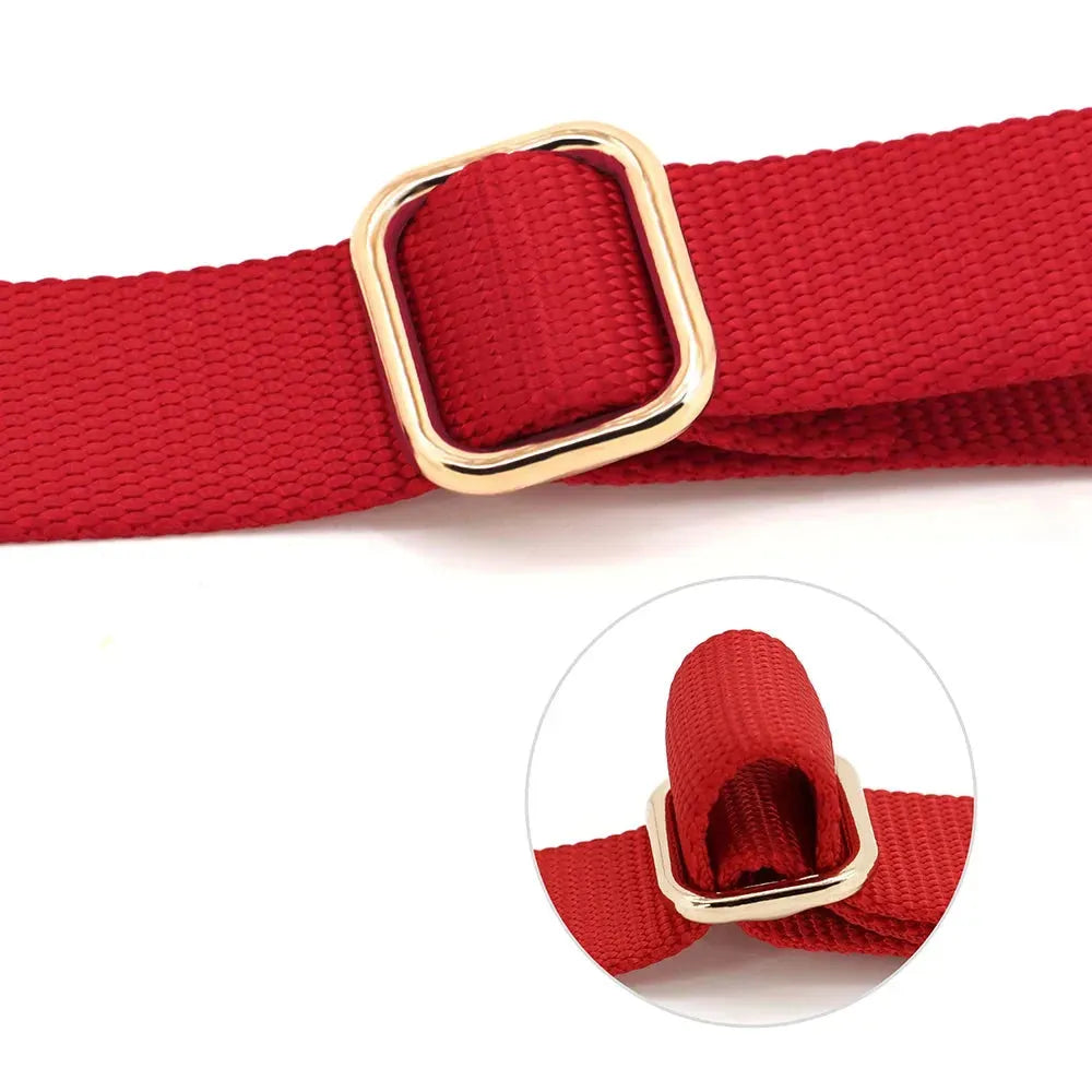 Personalized Dog Harness No Pull Dog Harnesses Adjustable Pet Walking Training - Loja Manuel Coelho