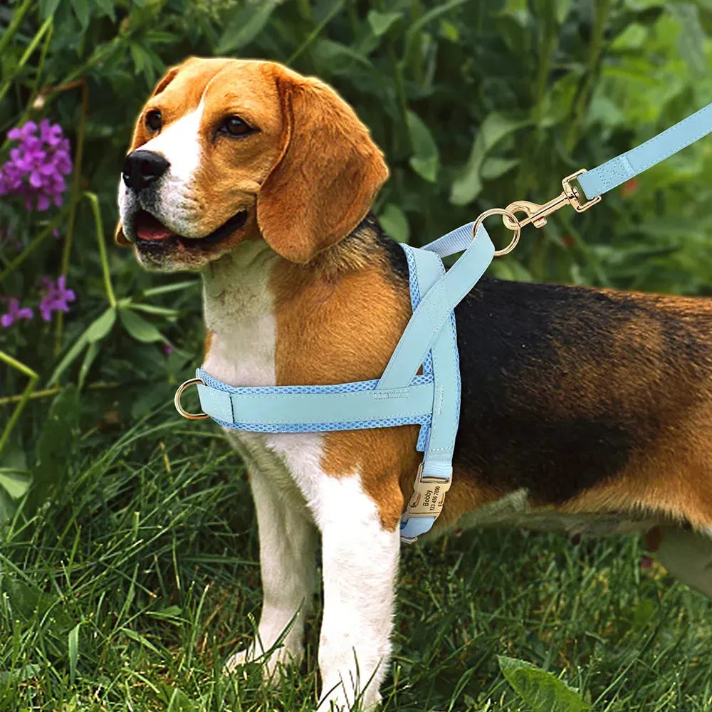 Personalized Dog Harness No Pull Dog Harnesses Adjustable Pet Walking Training - Loja Manuel Coelho