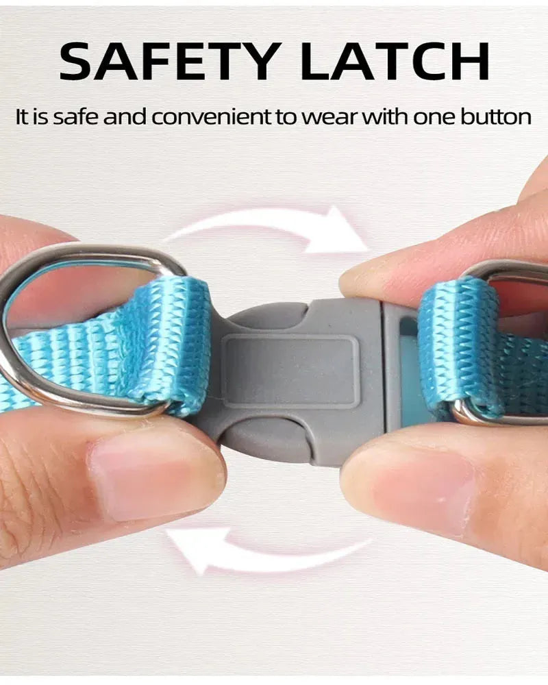 Dog Harness Leash Set for Small Medium Dog Cat Chest Strap Reflective Dog Clothes - Loja Manuel Coelho