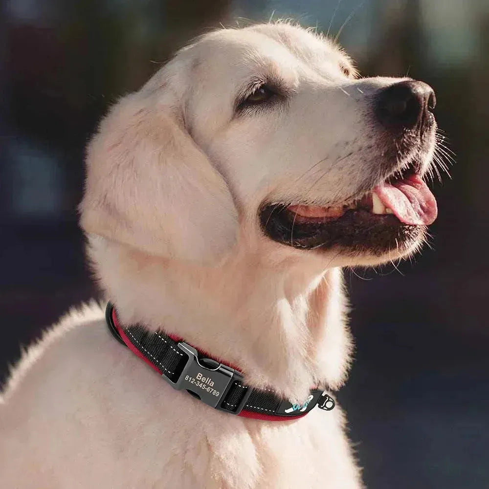 Reflective Personalized Dog Collar Engrave ID Nylon Collars Soft Padded - Loja Manuel Coelho