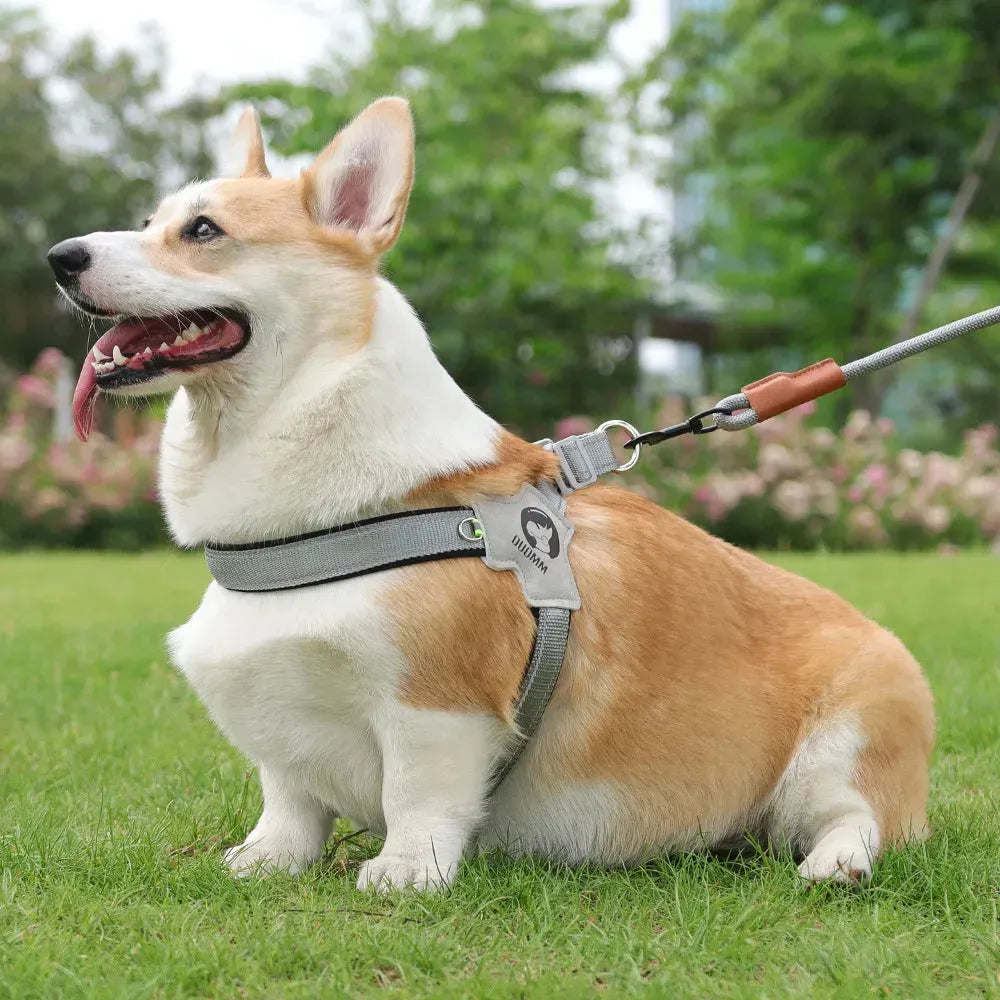 Dog Harness Adjustable Pet Harness Vest For Small Large Dogs Cats Reflective Mesh - Loja Manuel Coelho