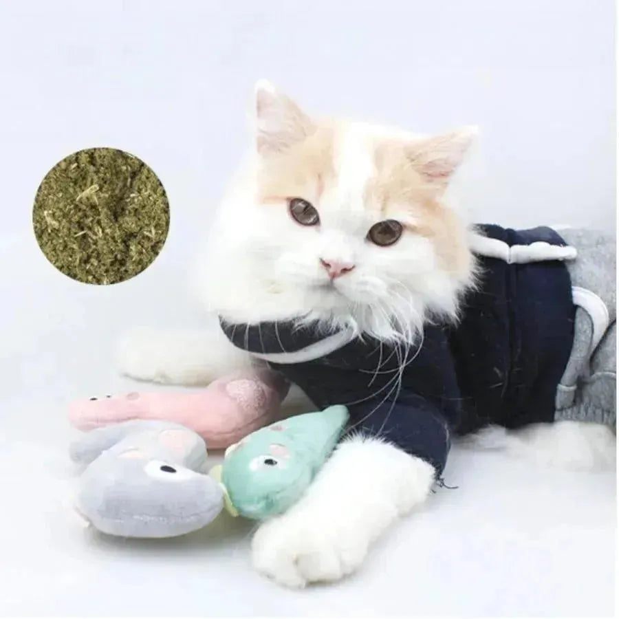 Pet Molar Bite toy Cartoon Stuffed Animal Cute Plush Cat Chew Toy - Loja Manuel Coelho