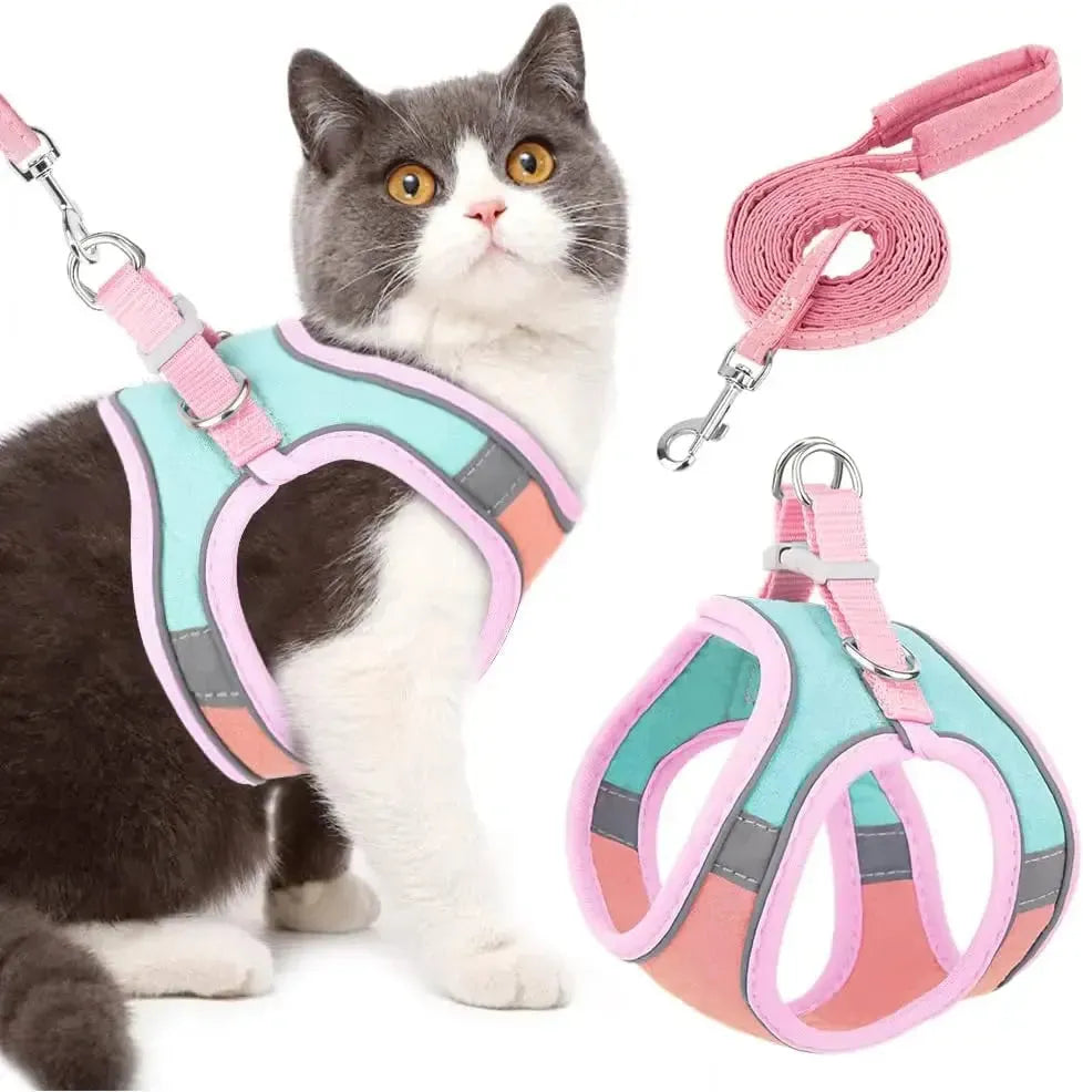 Small-sized Pet Vest-style Reflective Harness Set for Cats at Night - Loja Manuel Coelho