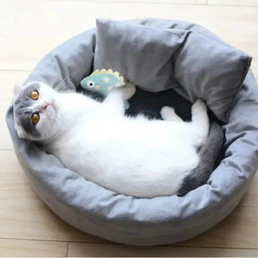 Pet Molar Bite toy Cartoon Stuffed Animal Cute Plush Cat Chew Toy - Loja Manuel Coelho