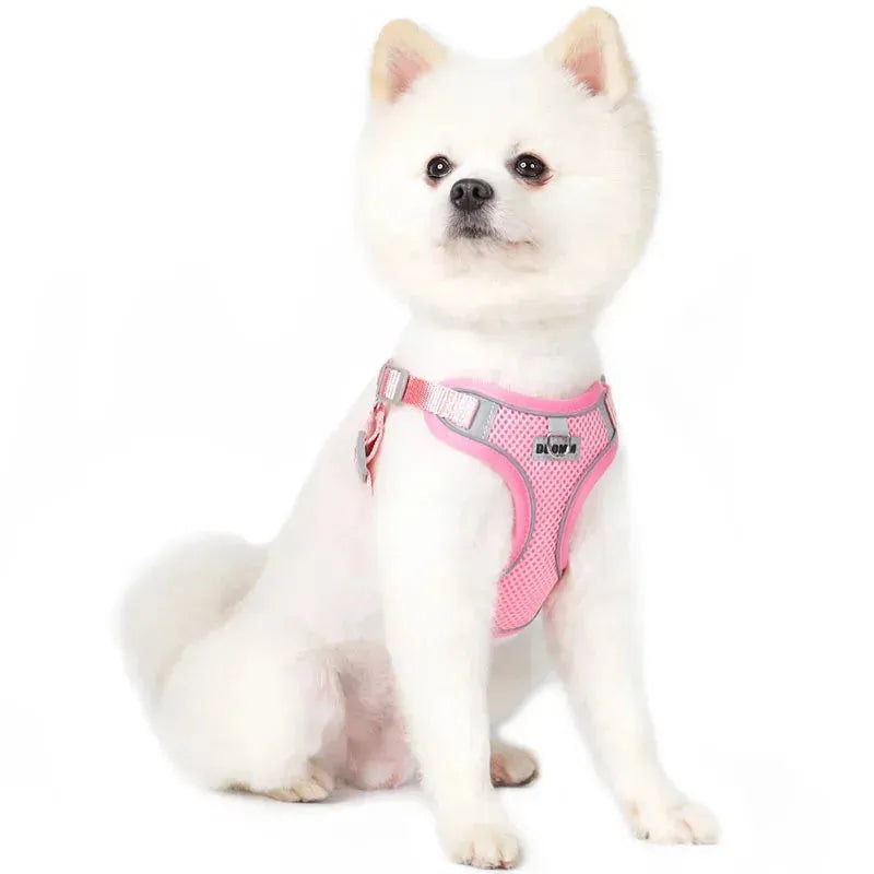 Dog Harness Leash Set for Small Medium Dog Cat Chest Strap Reflective Dog Clothes - Loja Manuel Coelho