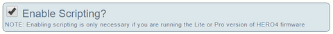 Enable Scripting? Checkbox