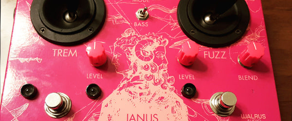 Pink Janus