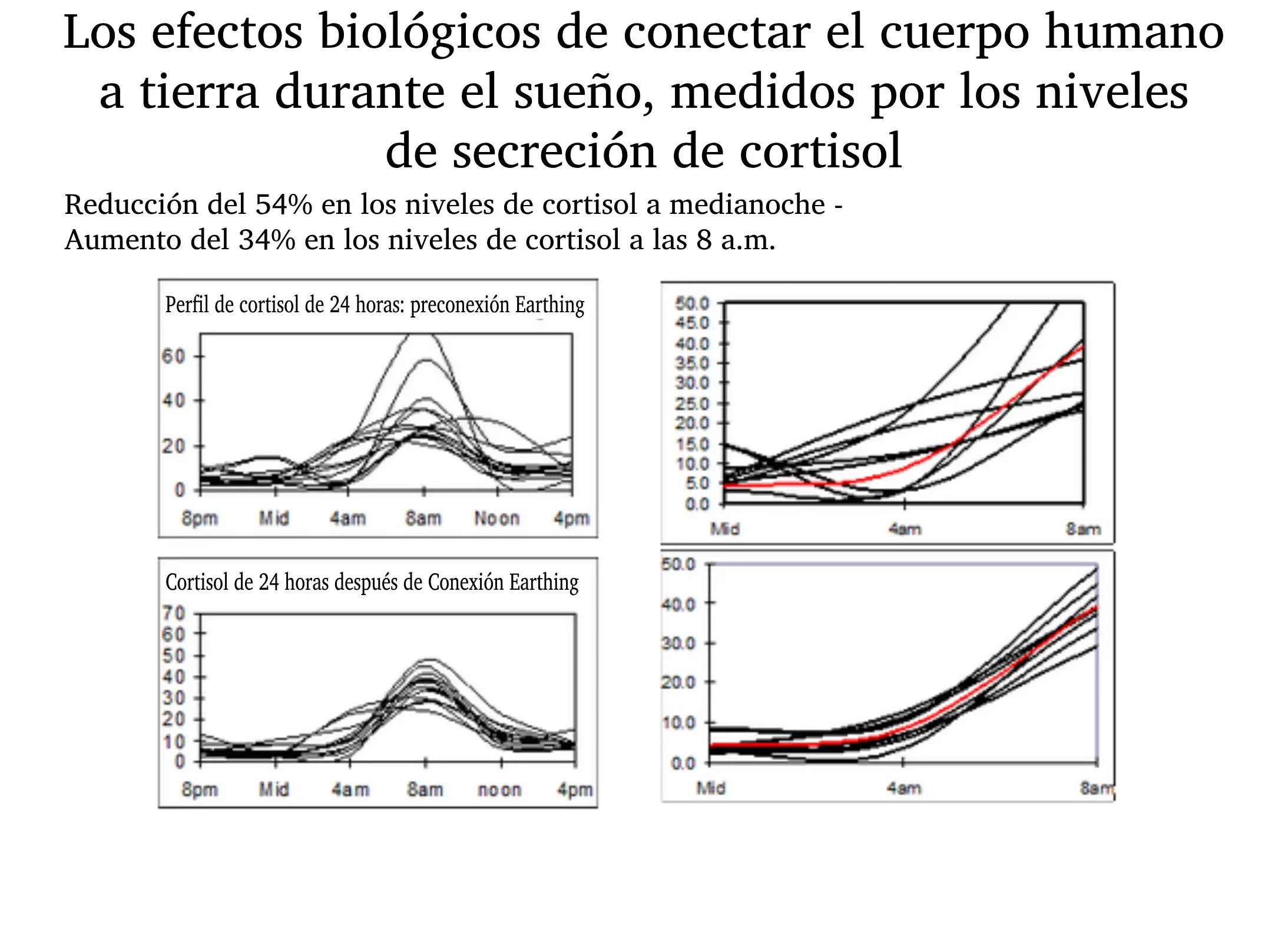 Estrés y equilibrio nervioso