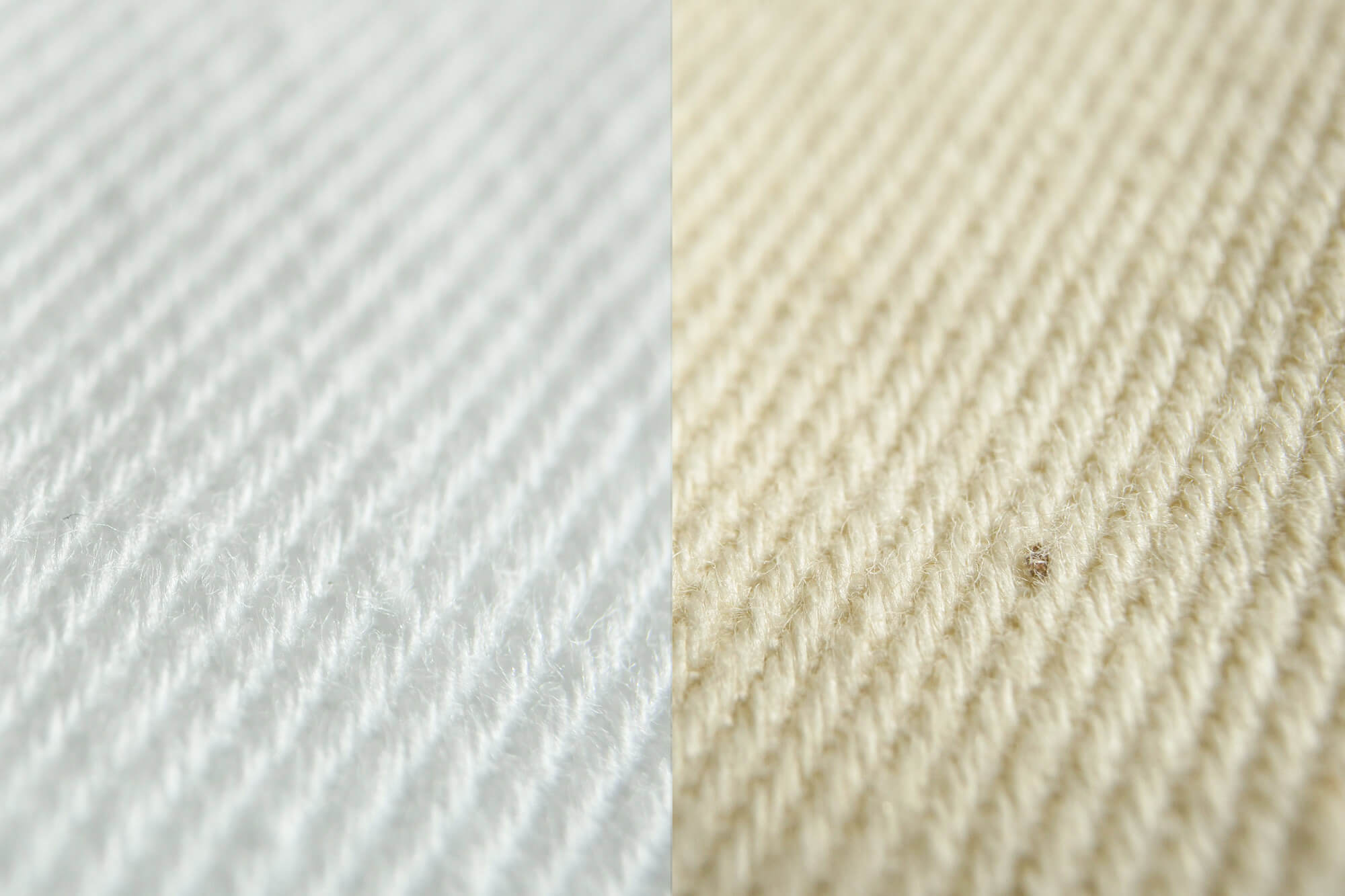 Comparaison d'un tissu blanchi et non blanchi
