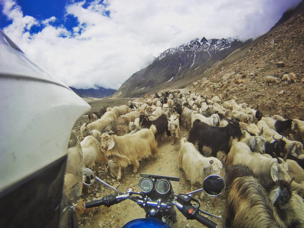 7 Riders to follow on Instagram - Trip Machine Company