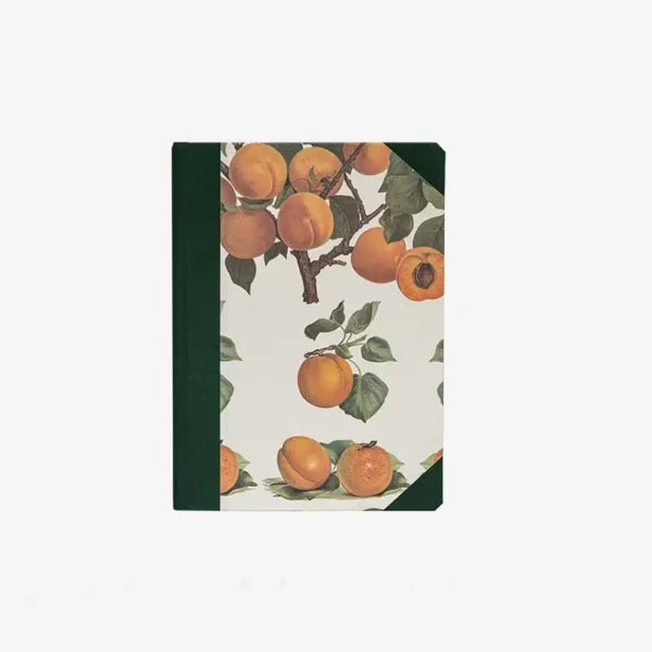 ISSIMO x Choosing Keeping Apricots Notebook bellissimo