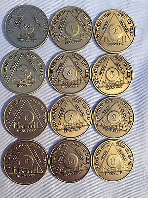 Set of 12 Monthly Bronze AA Medallion Month 1 - 11 & 24hrs