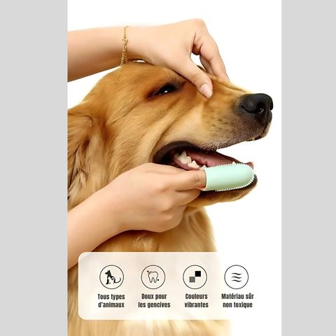 Brosse A Dent Chien - Médor doux pour les gencives
