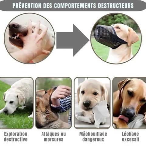Muselière Chien - Troylie exemples d'utilisations