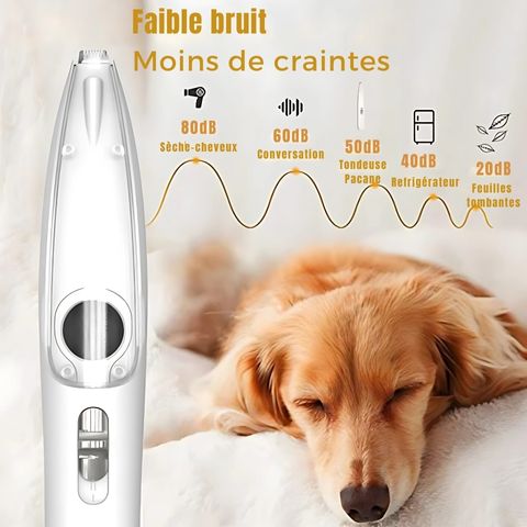 Tondeuse Patte Chien - Pacane faible bruit