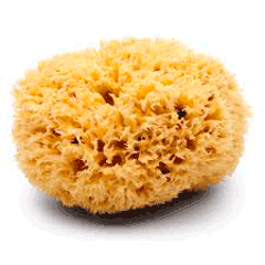 Advantages of Using Natural Sea Sponges over artificial sponges.