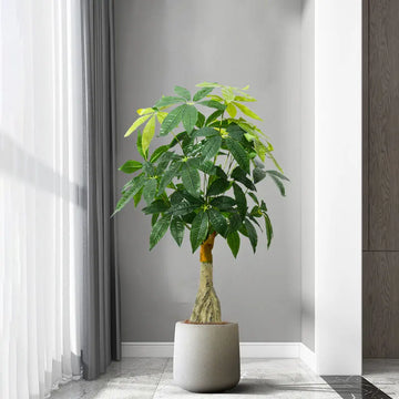 Trees dropshipping Products