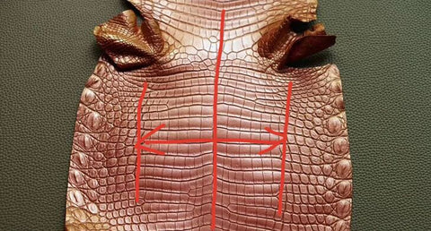 Nile crocodile leather 